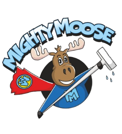 Mighty Moose Cleaning